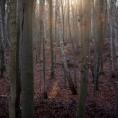 Silke Schröder Briefstudio